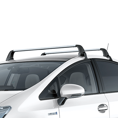 accessory image