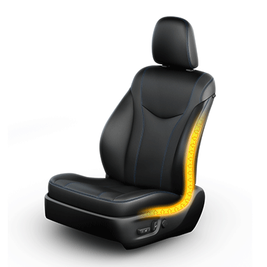 accessory image